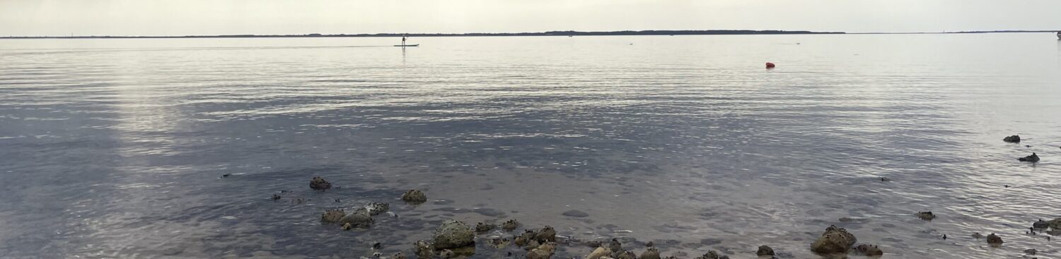 Grundejerforeningen Hostrup Hovedgaard Område 2